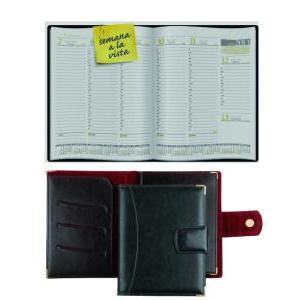 AGENDA SEMANAL MEDIANA REMEMBER SENIOR 1413 CARPET